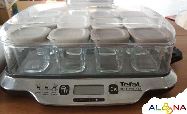 Рецепты десертов для йогуртницы tefal 3 в 1