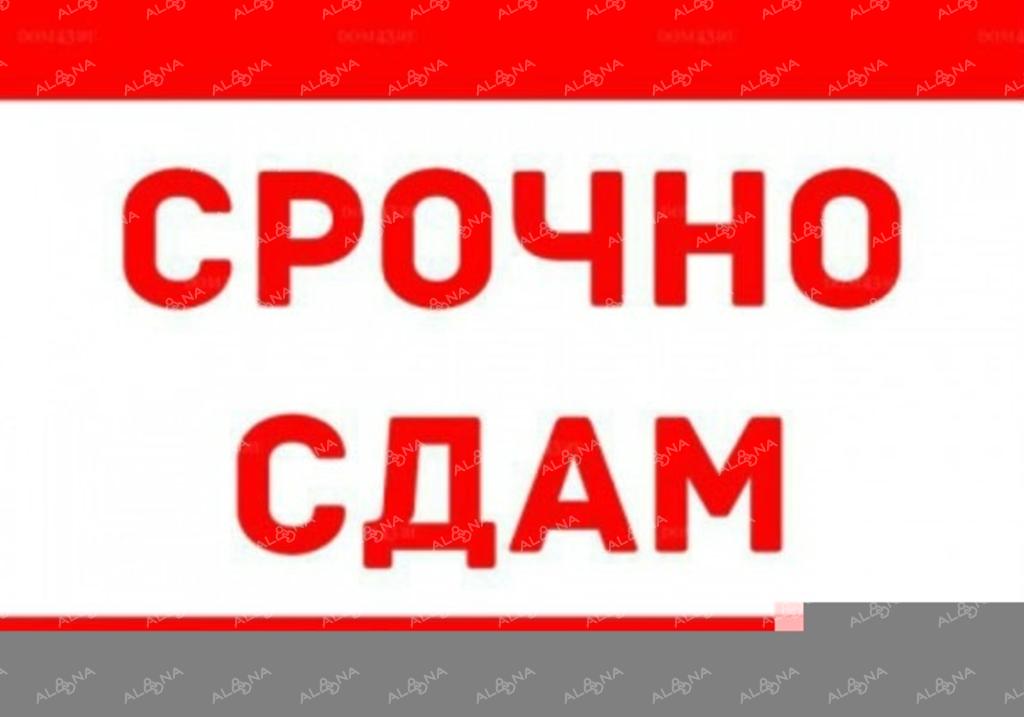 Срочно низко. Сдается квартира картинка. Сдается надпись. Срочно сдается. Срочно сдается квартира.