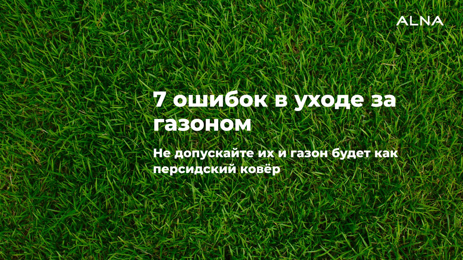 7 ошибок в уходе за газоном.